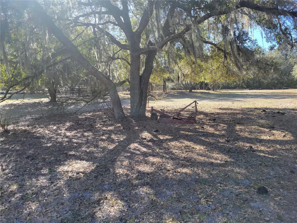3142 PLYMOUTH SORRENTO ROAD Apopka, FL 32712