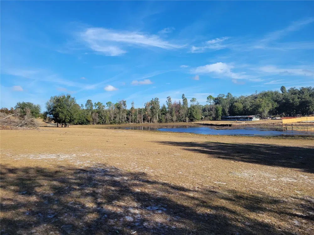 3142 PLYMOUTH SORRENTO ROAD Apopka, FL 32712