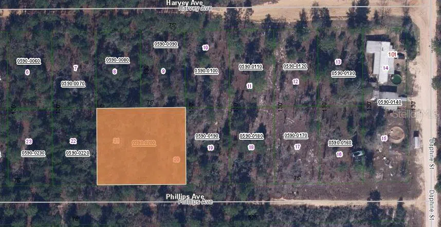 00 PHILLIPS AVENUE Interlachen, FL 32148
