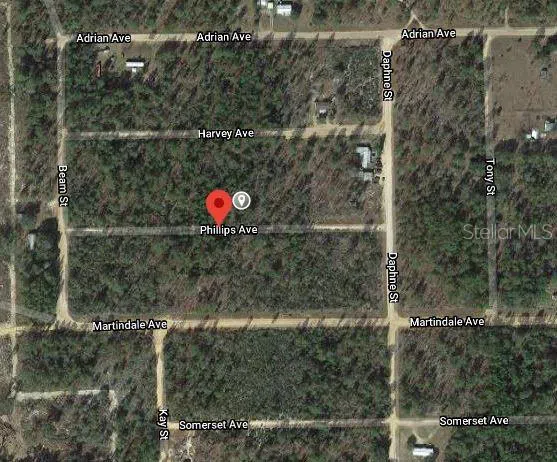 00 PHILLIPS AVENUE Interlachen, FL 32148