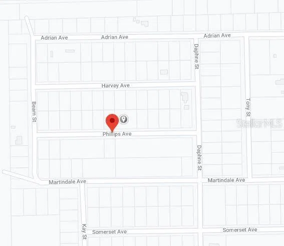 00 PHILLIPS AVENUE Interlachen, FL 32148