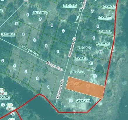 124 SUMMERS STREET Interlachen, FL 32148