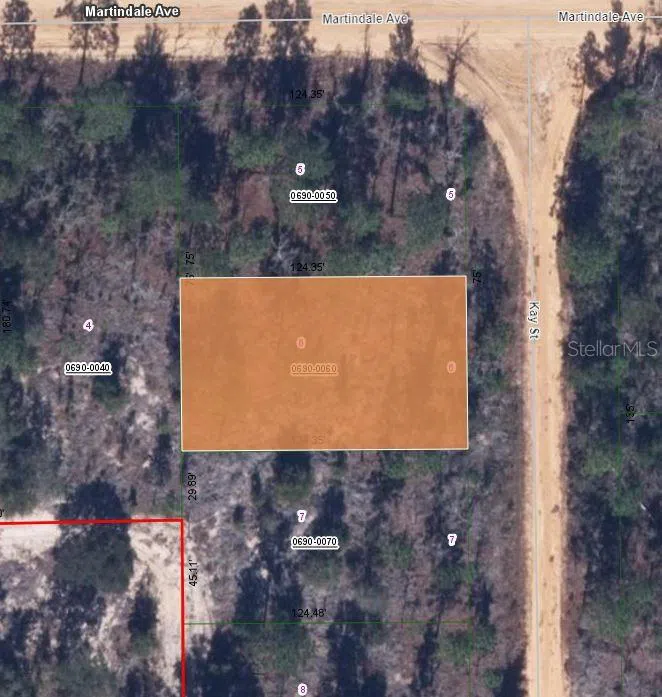 00 KAY STREET Interlachen, FL 32148