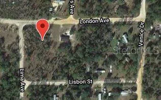 115 LONDON AVENUE Interlachen, FL 32148
