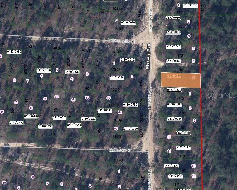156 MISSOURI AVENUE Hawthorne, FL 32640