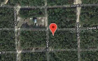 301 DEEDA STREET Florahome, FL 32140