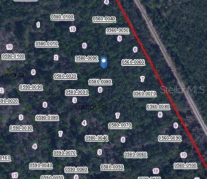 422 MADISON STREET Satsuma, FL 32189
