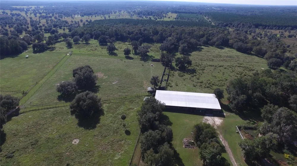 19350 NW 123RD COURT Micanopy, FL 32667