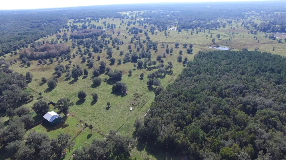 19350 NW 123RD COURT Micanopy, FL 32667