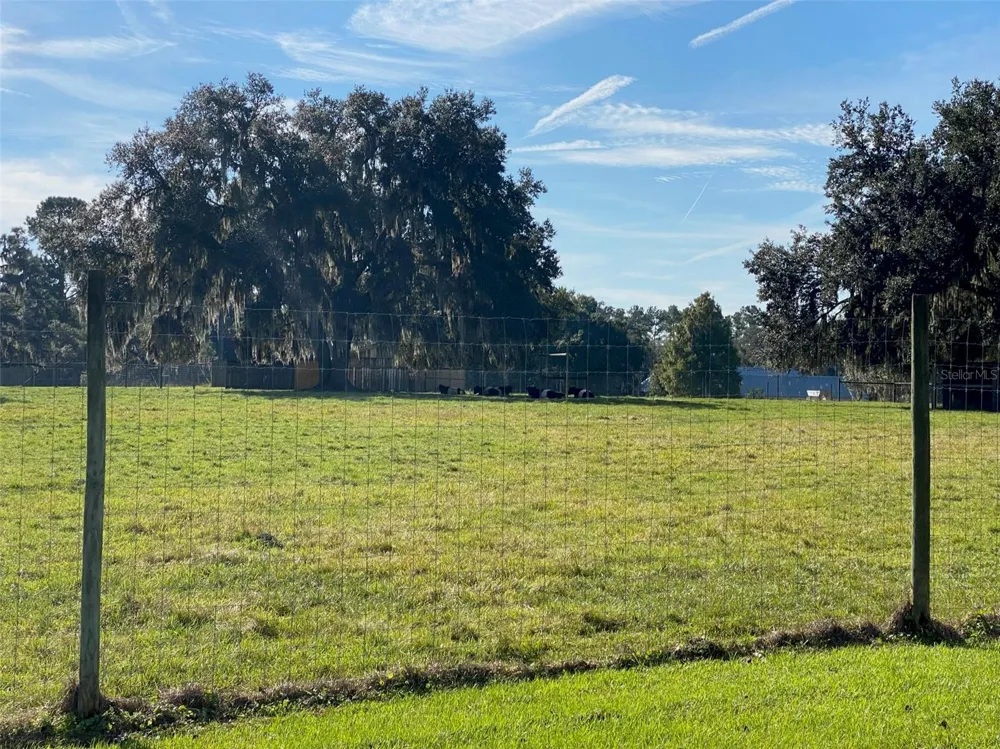 19350 NW 123RD COURT Micanopy, FL 32667