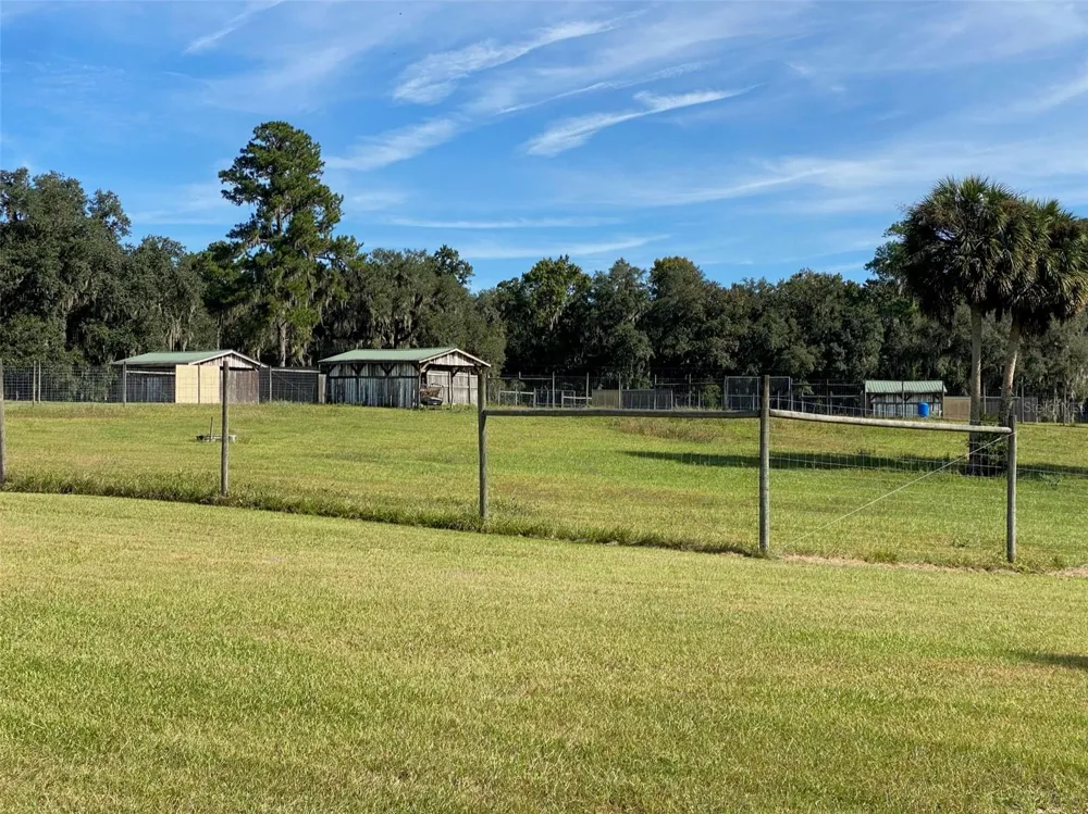19350 NW 123RD COURT Micanopy, FL 32667