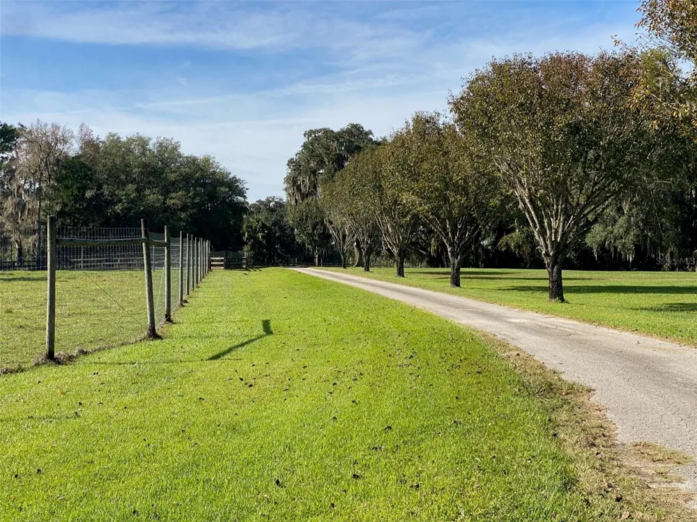 19350 NW 123RD COURT Micanopy, FL 32667