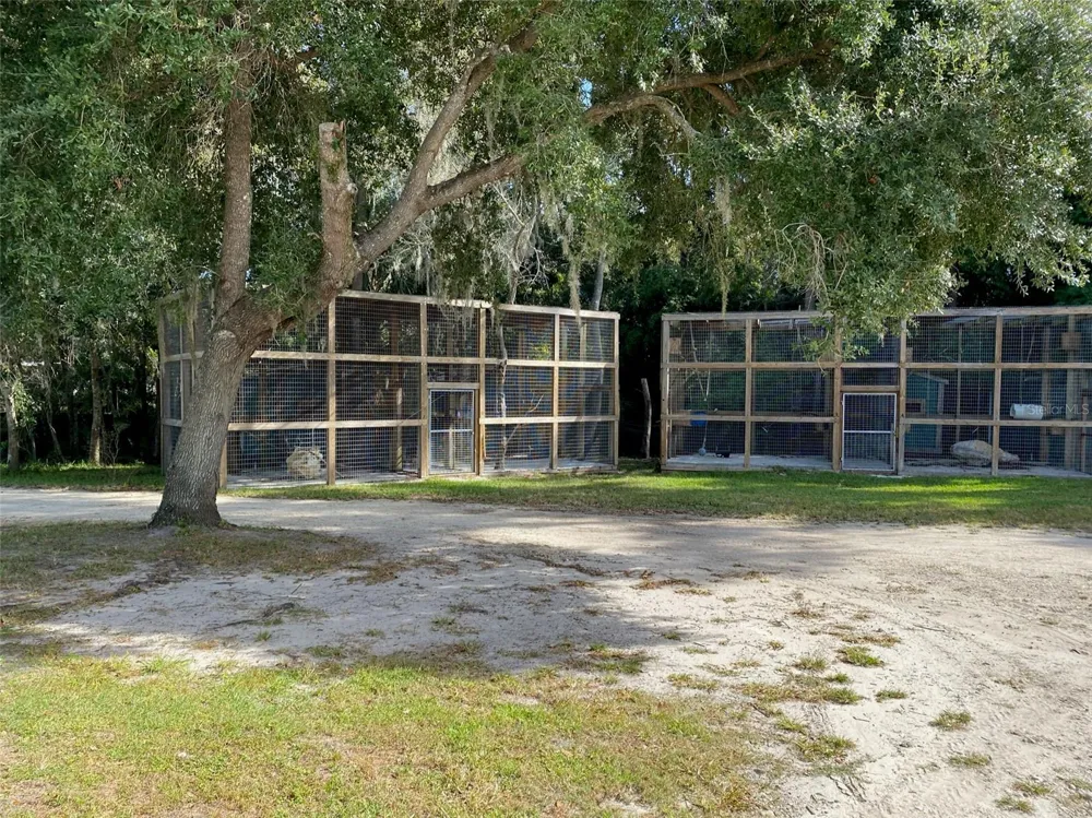 19350 NW 123RD COURT Micanopy, FL 32667