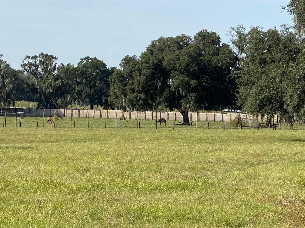 19350 NW 123RD COURT Micanopy, FL 32667