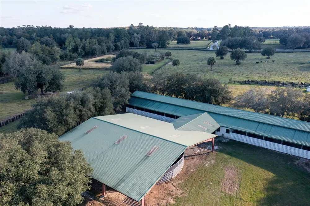 19350 NW 123RD COURT Micanopy, FL 32667