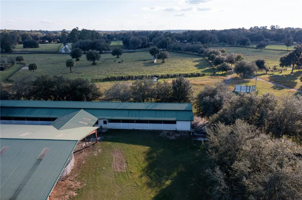 19350 NW 123RD COURT Micanopy, FL 32667