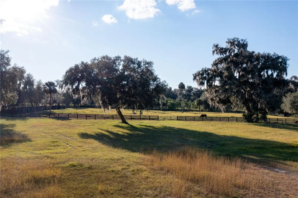 19350 NW 123RD COURT Micanopy, FL 32667