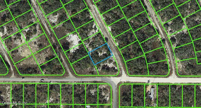 202 Deep Purple Drive Lake Placid, FL 33852