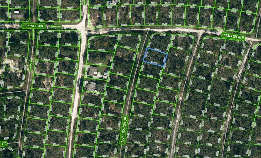 325 BLUE HEAVEN DRIVE