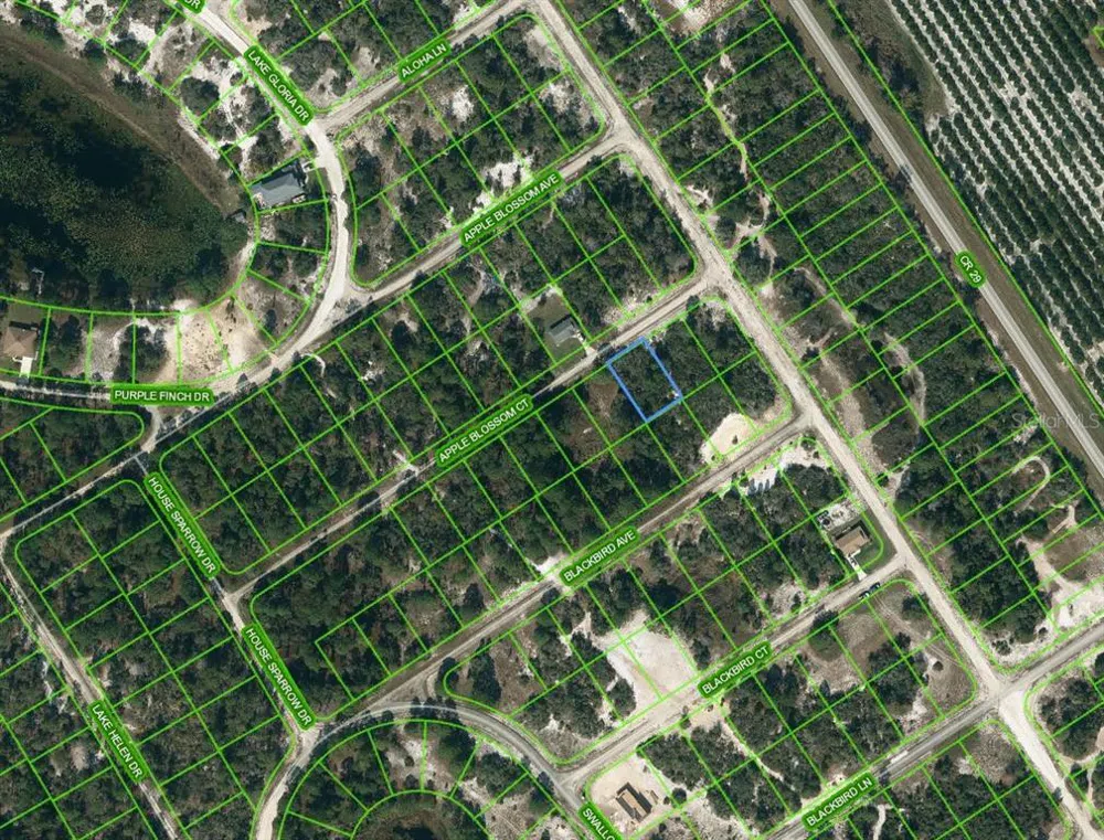 455 APPLE BLOSSOM COURT Lake Placid, FL 33852