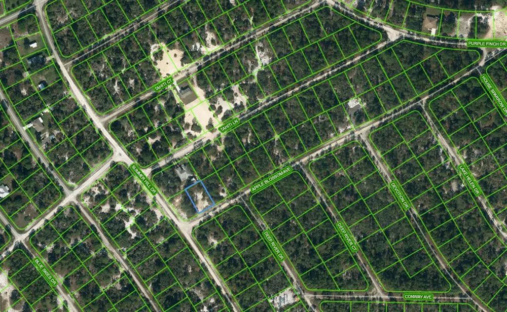 402 APPLE BLOSSOM COURT