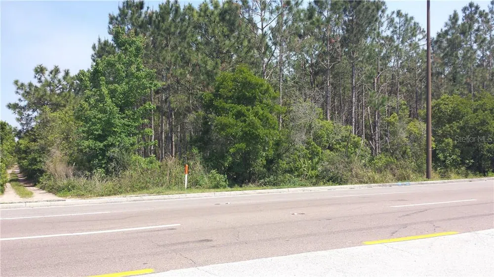INTERNATIONAL DRIVE Orlando, FL 32821