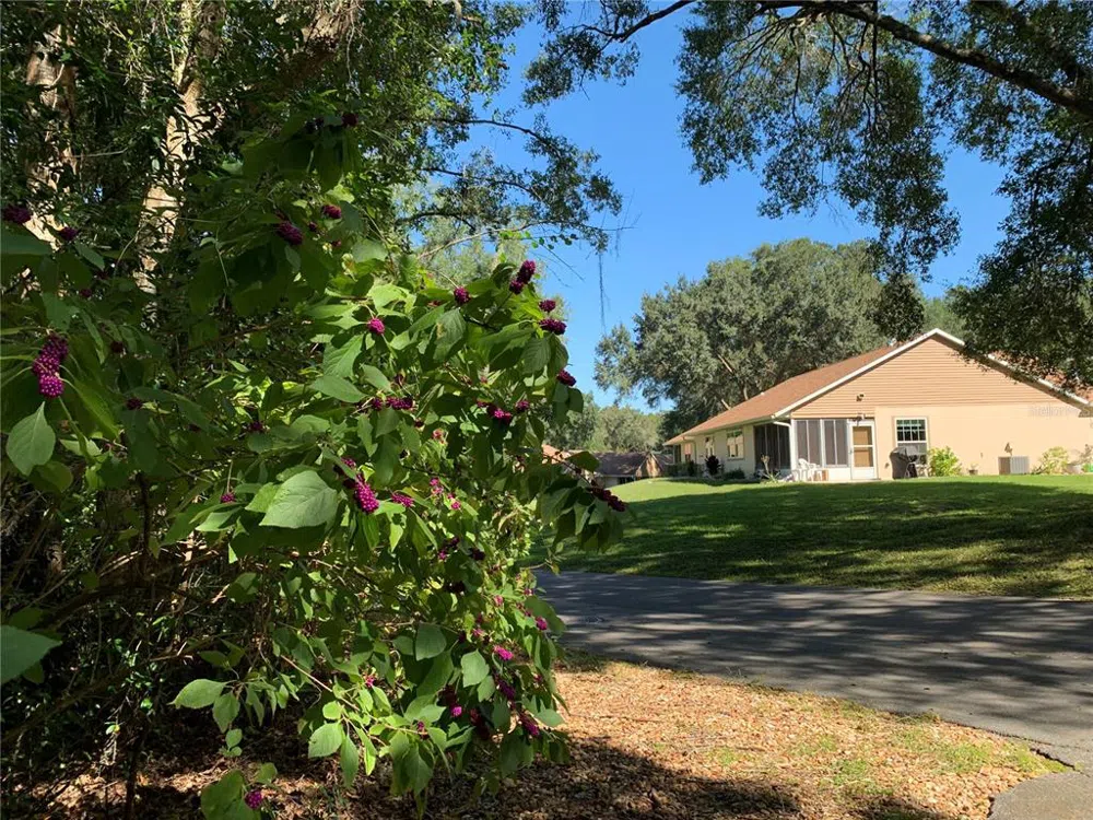 3550 LAKESIDE VILLAGE DRIVE Beverly Hills, FL 34465