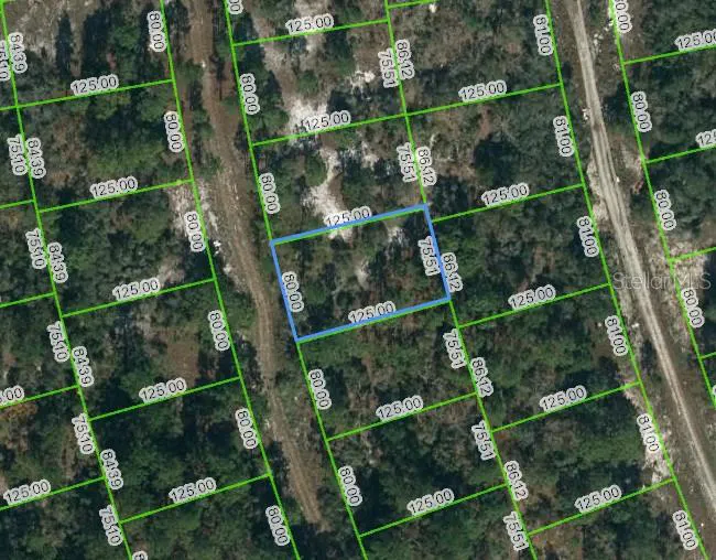 217 BLUE HORIZON DRIVE