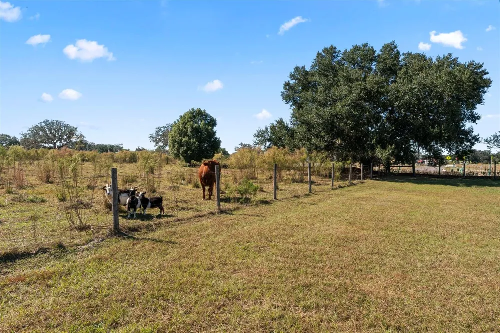 0 COUNTY ROAD 52 San Antonio, FL 33576