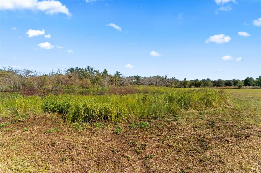 0 COUNTY ROAD 52 San Antonio, FL 33576