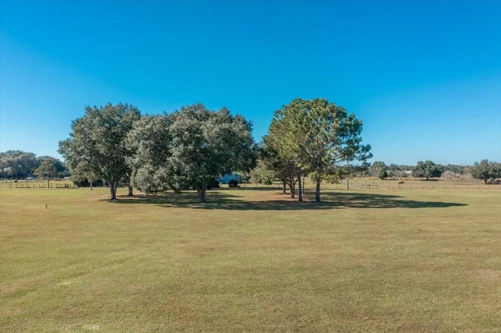 31935 COUNTY ROAD 52 San Antonio, FL 33576