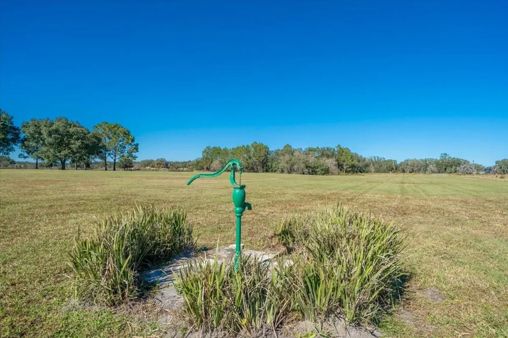 31935 COUNTY ROAD 52 San Antonio, FL 33576