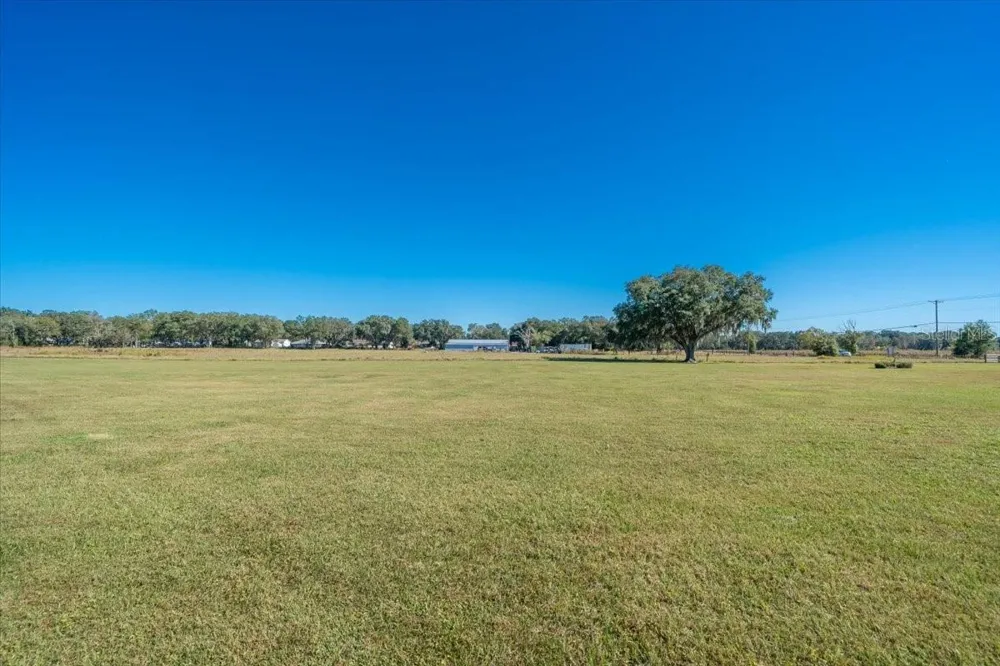 31935 COUNTY ROAD 52 San Antonio, FL 33576