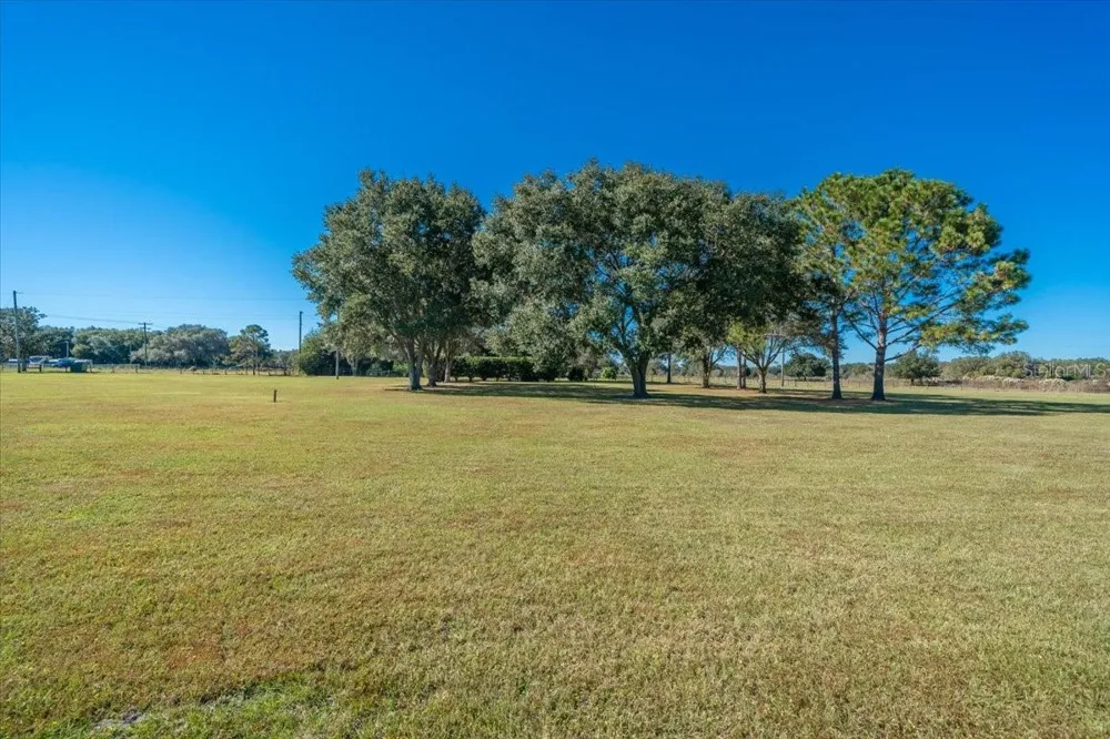 31935 COUNTY ROAD 52 San Antonio, FL 33576