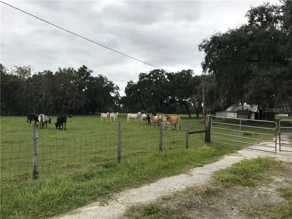1401 STATE ROAD 44 Leesburg, FL 34748