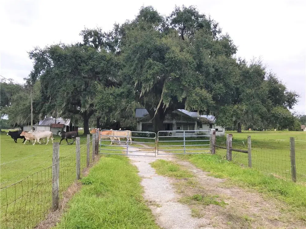 1401 STATE ROAD 44 Leesburg, FL 34748