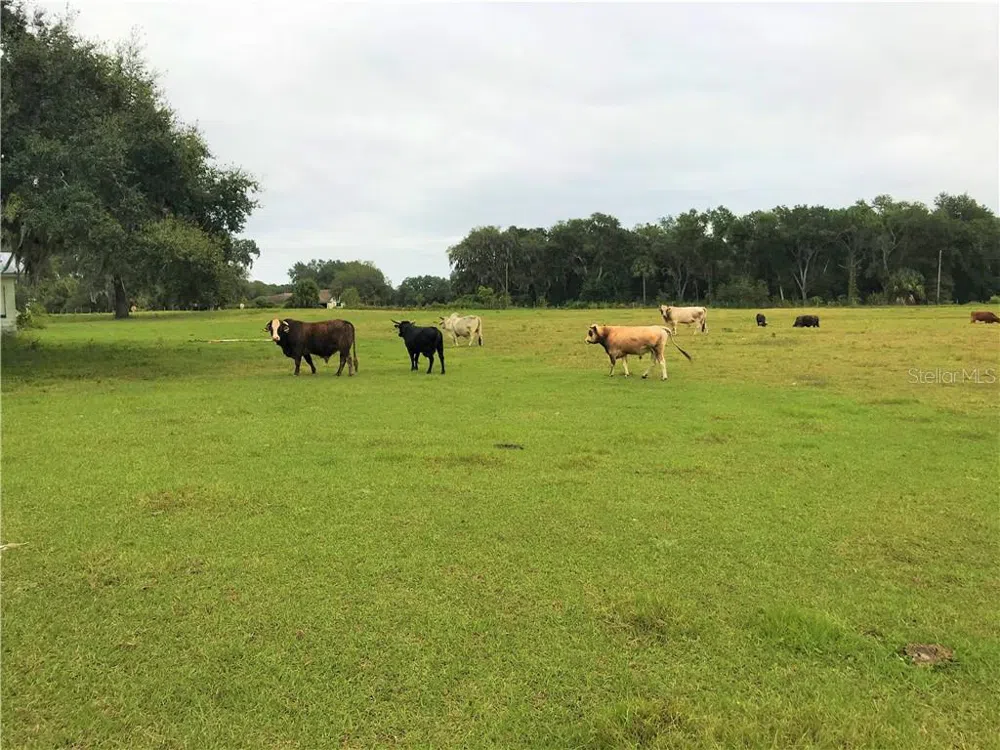 1401 STATE ROAD 44 Leesburg, FL 34748