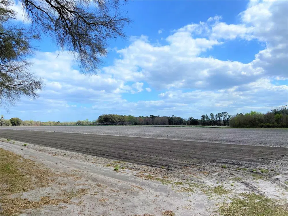 24103 NW COUNTY ROAD 239 Alachua, FL 32615