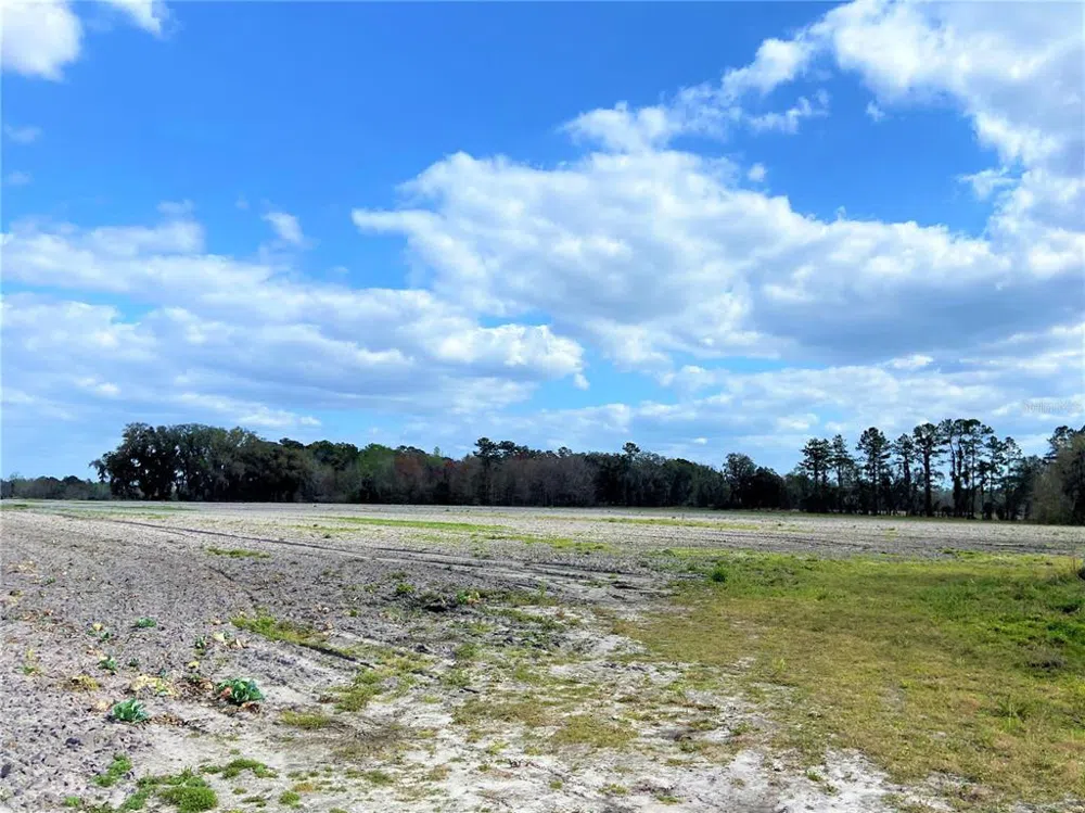 24103 NW COUNTY ROAD 239 Alachua, FL 32615