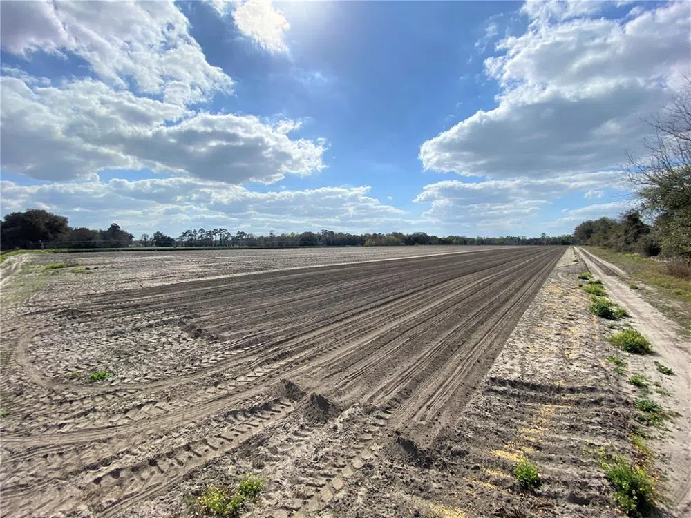 24103 NW COUNTY ROAD 239 Alachua, FL 32615