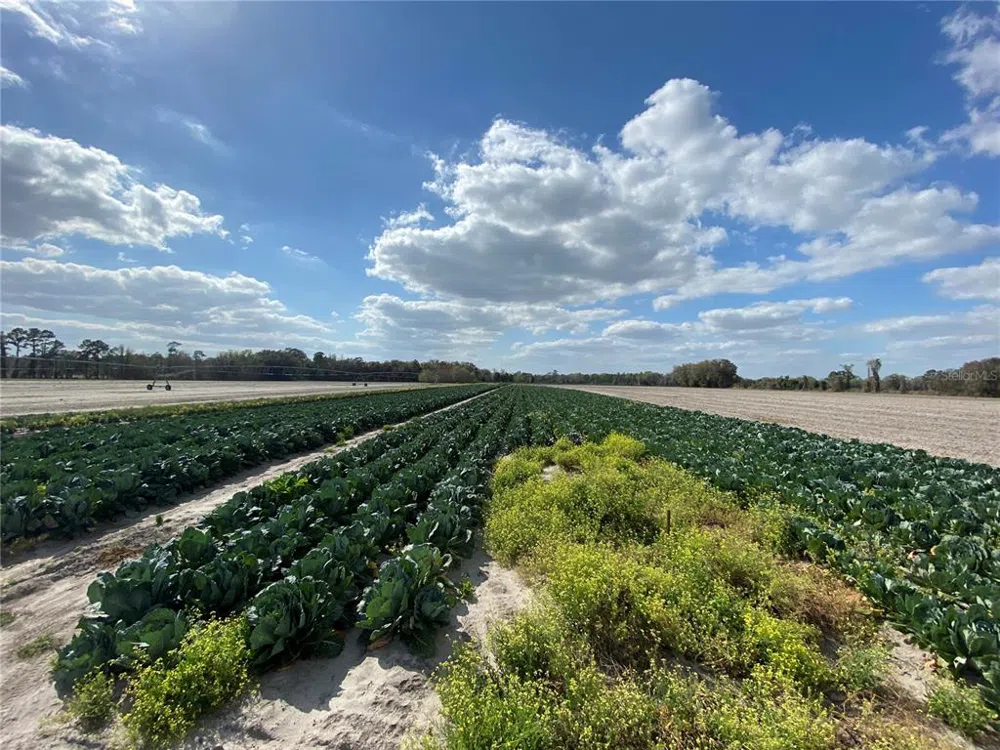 24103 NW COUNTY ROAD 239 Alachua, FL 32615