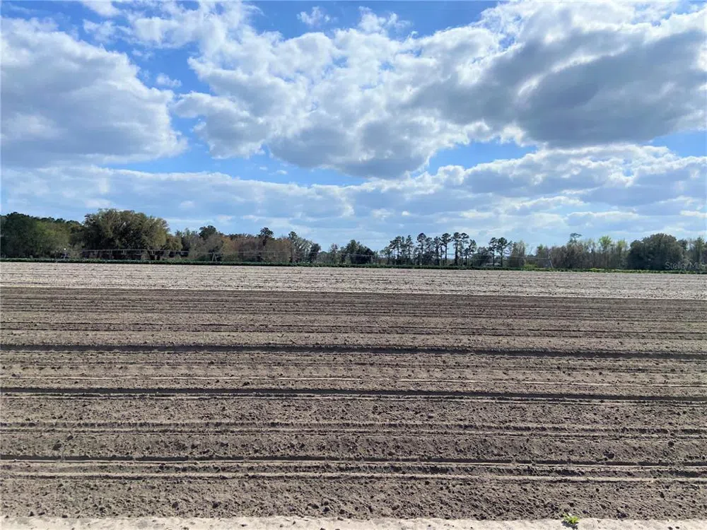 24103 NW COUNTY ROAD 239 Alachua, FL 32615