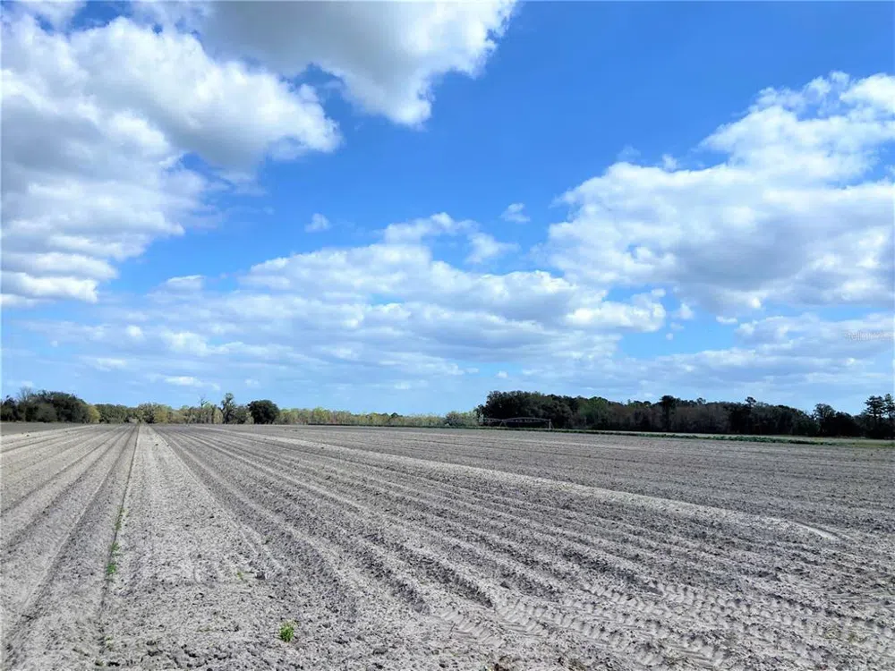 24103 NW COUNTY ROAD 239 Alachua, FL 32615
