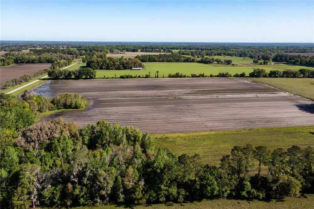 24103 NW COUNTY ROAD 239 Alachua, FL 32615