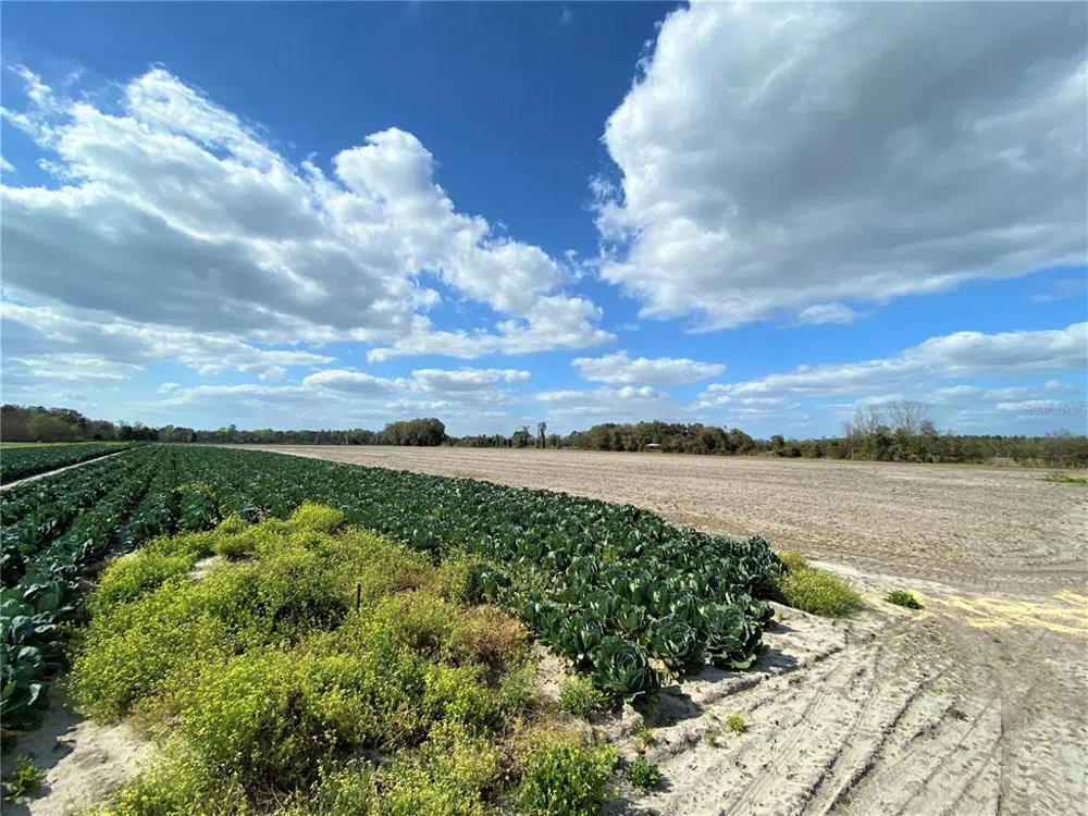 24103 NW COUNTY ROAD 239 Alachua, FL 32615