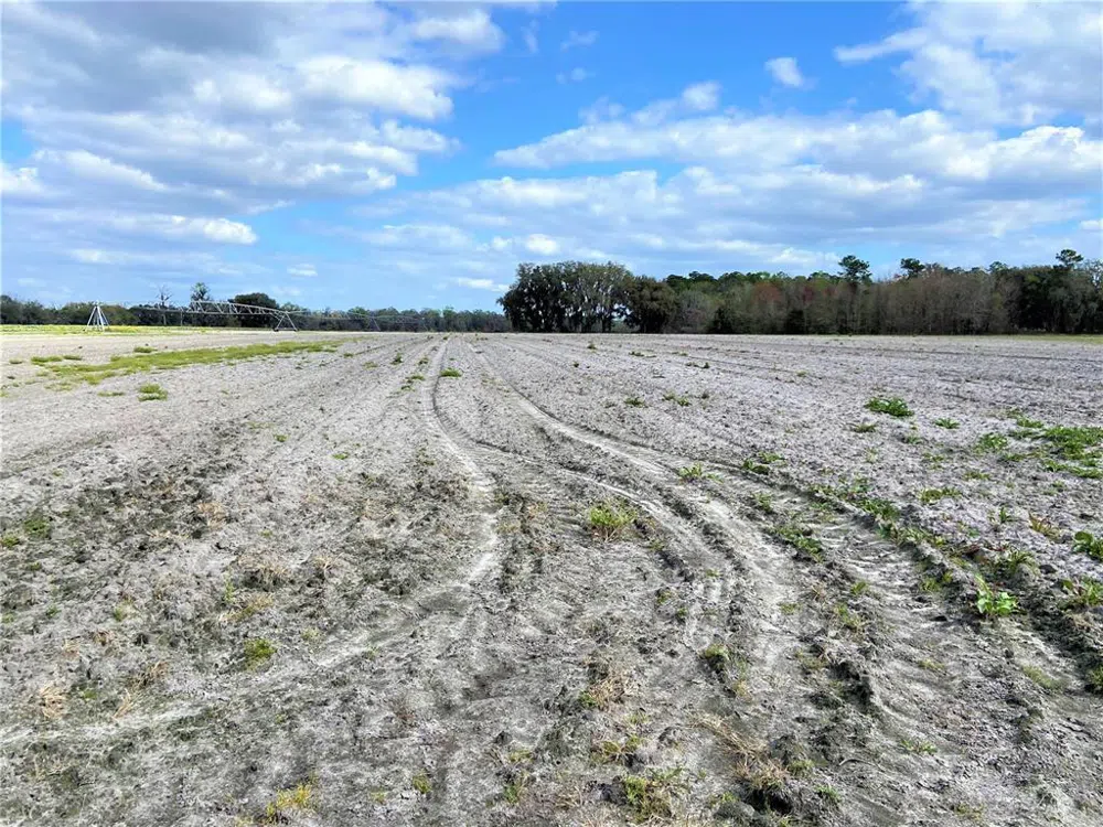 24103 NW COUNTY ROAD 239 Alachua, FL 32615