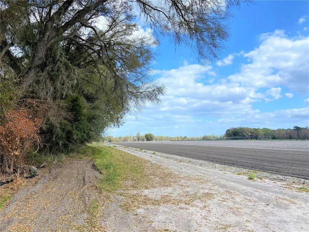 24103 NW COUNTY ROAD 239 Alachua, FL 32615