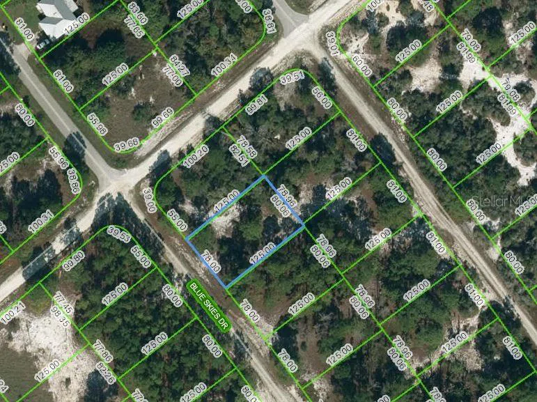 537 BLUE SKIES DRIVE Lake Placid, FL 33852