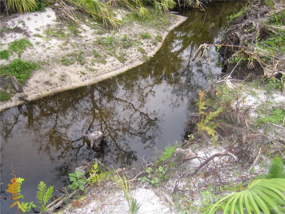 41025 E 20TH PLACE Myakka City, FL 34251