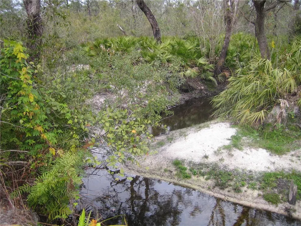41025 E 20TH PLACE Myakka City, FL 34251
